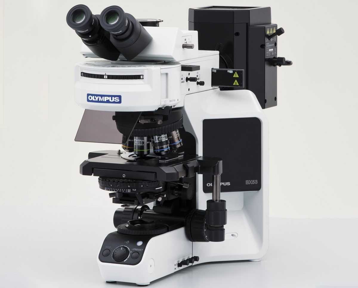 Немного о качественных микроскопах – почему стоит купить Olympus bx53