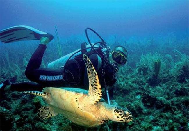 Плавание и подводная охота