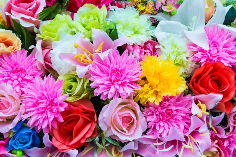Расцвети свой мир: Цветы с доставкой, вдохновляющие и радующие глаз