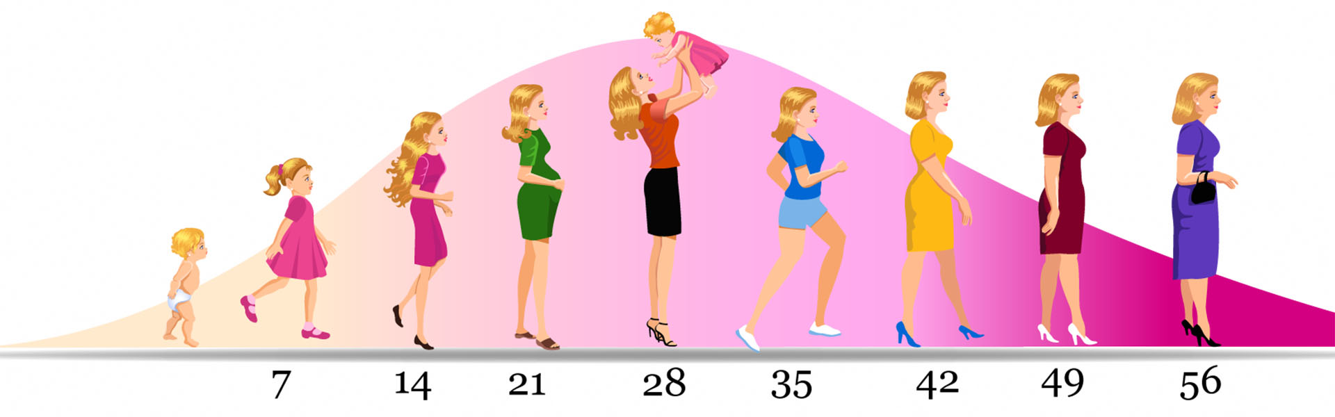 Life period. Возрастные периоды женщины. Этапы жизни женщины. Периодизация возраста женщин. Этапы роста женщины.
